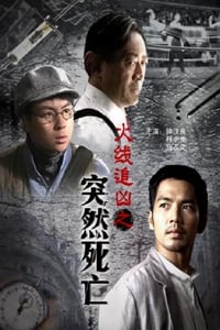 2009年国产经典动作片《火线追凶之突然死亡》HD国语中字