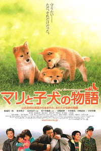 2007年日本经典剧情片《爱犬的奇迹》蓝光日语中字