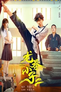 2024年国产动作片《龙拳小子2》HD国语中字