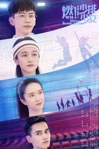 2024年国产大陆电视剧《燃沙排少女》全36集