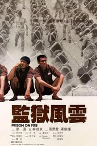 1987年中国香港经典动作片《监狱风云》蓝光国粤双语中字