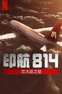 2024年印度电视剧《印航814：坎大哈之劫》全6集