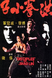 1975年中国香港经典动作片《洪拳小子》蓝光国语中字