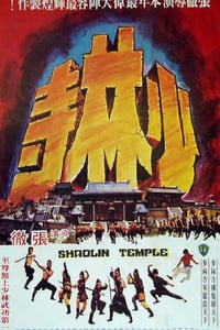 1976年中国香港经典动作片《少林寺》蓝光国语中英双字