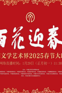 2025年国产真人秀《中国文学艺术界2025春节大联欢》HD国语中字