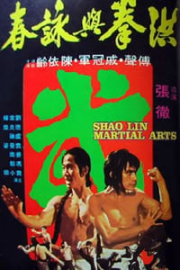 1974年中国香港经典动作片《洪拳与咏春》蓝光国语中字