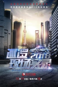 2018年国产大陆纪录片《巡逻现场实录2018》全12集