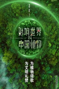 2019年国产大陆纪录片《影响世界的中国植物》全10集