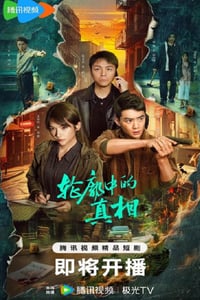 2025年国产大陆电视剧《轮廓中的真相》连载至12