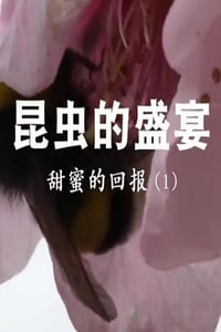 2020年国产大陆纪录片《昆虫的盛宴》全8集