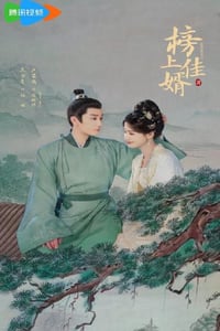 2025年国产大陆电视剧《榜上佳婿》全40集