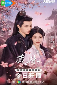 2025年国产大陆电视剧《藏珠》连载至06