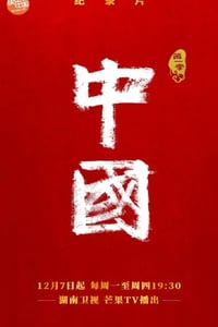 2020年国产大陆纪录片《中国》全12集