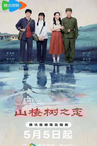 2025年国产大陆电视剧《山楂树之恋》连载至08