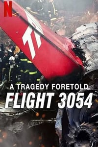 2025年美国纪录片《悲剧预言:巴西3054航班空难》全3集