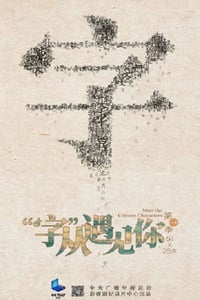 2022年国产大陆纪录片《“字”从遇见你 第一季》全25集
