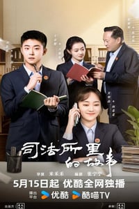 2025年国产大陆电视剧《司法所的故事》连载至06