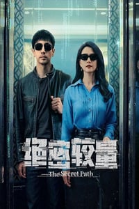 2025年国产大陆电视剧《绝密较量》全28集