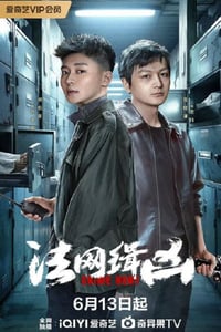 2025年国产大陆电视剧《法网缉凶》全26集