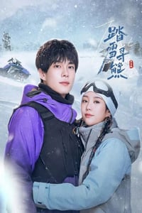 2025年国产大陆电视剧《踏雪寻熊》全24集
