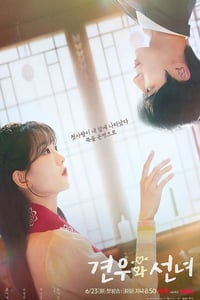 2025年韩国电视剧《牵牛和仙女》连载至01