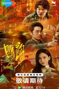 2025年国产大陆电视剧《鹦鹉》连载至11