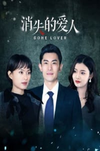 2025年国产大陆电视剧《消失的爱人》连载至20