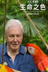 2021年英国纪录片《生命之色》全4集