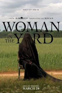 2025年美国恐怖片《院子里的女人》HD英语中字