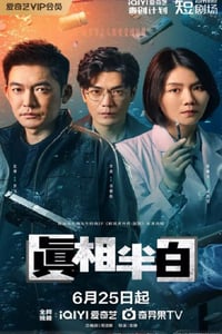 2025年国产大陆电视剧《真相半白》全25集