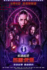2025年美国7.3分动作片《疾速追杀：芭蕾杀姬》HD机翻中英双字
