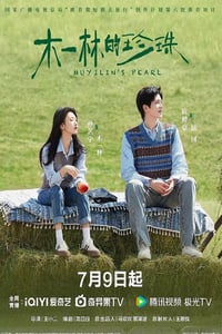 2025年国产大陆电视剧《木一林的珍珠》全24集