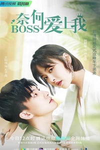 2022年国产大陆电视剧《奈何BOSS爱上我》全16集