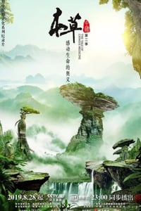 2019年国产大陆纪录片《本草中国 第二季》全12集