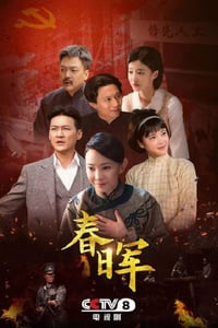 2025年国产大陆电视剧《春晖》连载至04