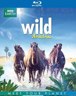 [狂野阿拉伯第一季][3集全][BD-720P-RMVB][英语中字][豆瓣8.9分][2.0GB][2013]