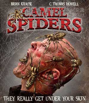 [骆驼蜘蛛][BD-720P-MKV][英语中字][豆瓣2.8分][2.2GB][2011]