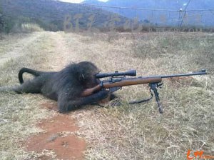 13部狙关于击手的电影