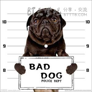 68部根据真实故事改编的高分电影