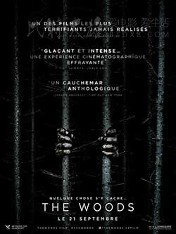 [布莱尔女巫][BD-720P/1080P-RMVB][英语中字][豆瓣4.5分][1.05GB/1.7GB][2016]