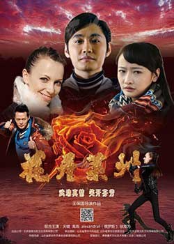 [花开莱州][HD-2160P-MKV][国语中字][3.96GB][2017]