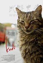 [伊斯坦布尔的猫][HD-720P-MP4][土耳其语中字][豆瓣8.6分][847MB][2016]