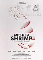 [虾上蚂蚁][HD-720P-MP4][多语中字][豆瓣7.8分][1.33GB][2016]
