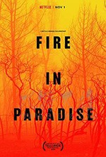 [天堂镇大火][HD-720P/1080P-MP4][英语中字][826MB/1.68GB][2019]