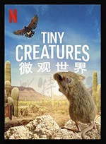 [微观世界][HD-720P-MP4][英语中字][2020]