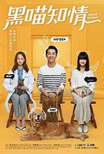 黑喵知情/2020/全集