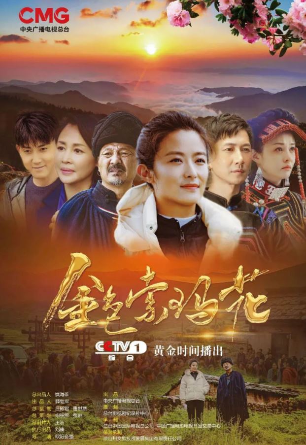 2020年国产大陆电视剧《金色索玛花》连载至20