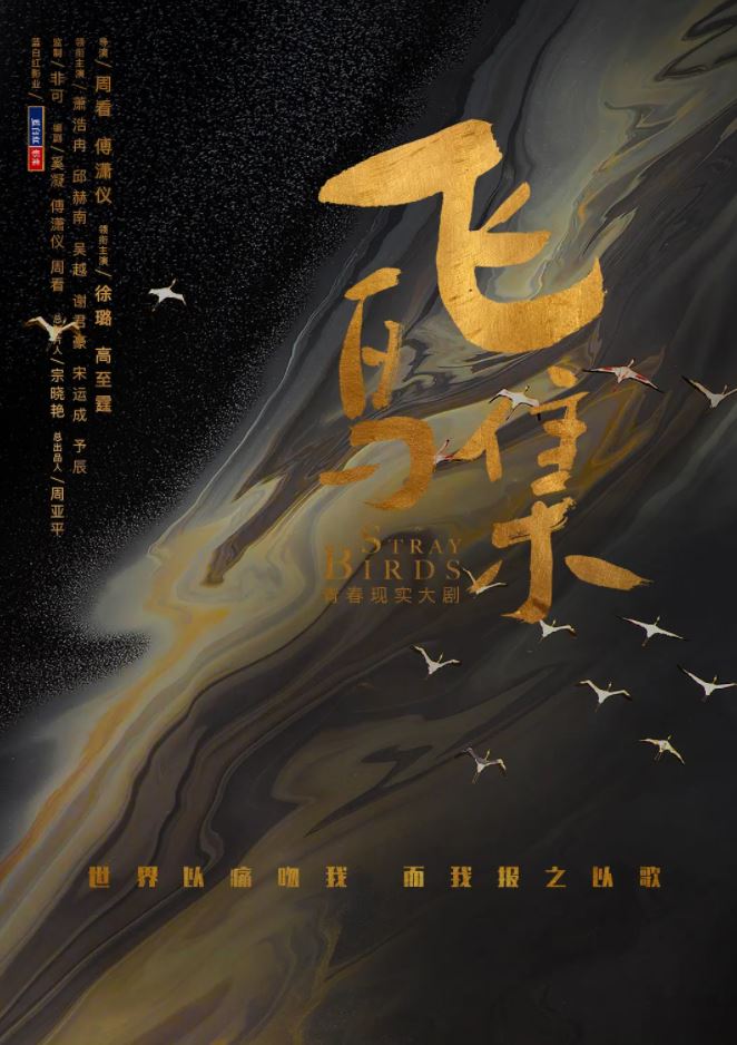 2021年国产大陆电视剧《飞鸟集》全40集