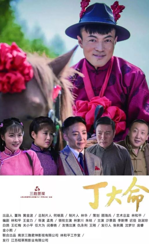 2018年国产大陆电视剧《丁大命》全40集