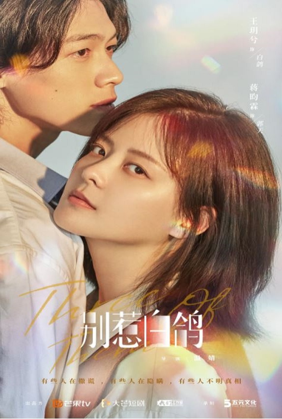 2021年国产大陆电视剧《别惹白鸽》全12集